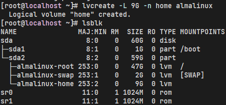 image-20240201163506115