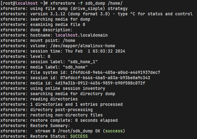 image-20240201163847295