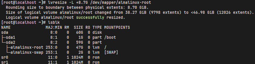 image-20240201163211759