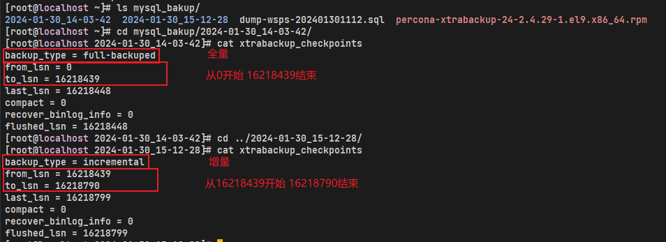 image-20240130172206916