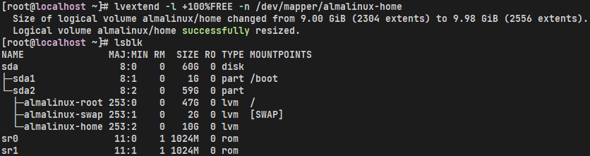 image-20240201163544310