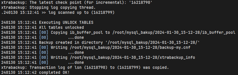 image-20240130151257100